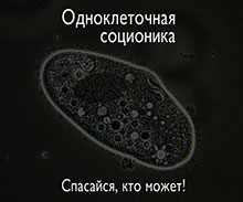  ���������! ������������� ��������� 