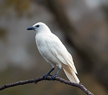  �� ���� ������� ������ ��� ����� �� ������ ����! 